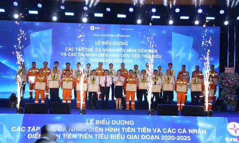 EVNNPC vinh danh 105 tập thể, cá nhân điển hình tiên tiến giai đoạn 2020-2025