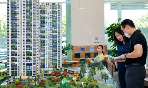 Bất động sản biến động sau tin sáp nhập tỉnh thành