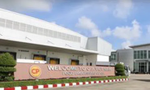 Hé lộ doanh thu khủng của 'đế chế chăn nuôi' C.P tại Việt Nam