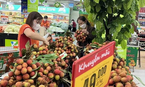Vải thiều 'phủ đỏ' từ chợ đến siêu thị TPHCM