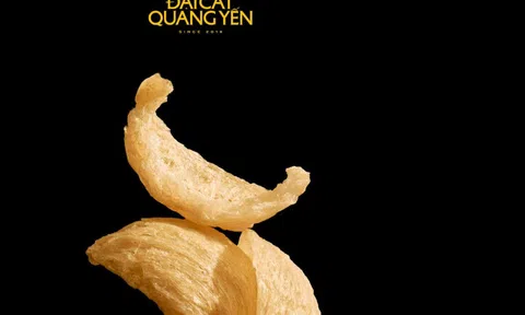 Đại Cát Quang Yến – Khẩu vị của lòng biết ơn