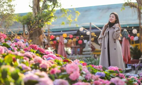 Những trải nghiệm không nên bỏ lỡ khi khám phá Sun World Ha Long