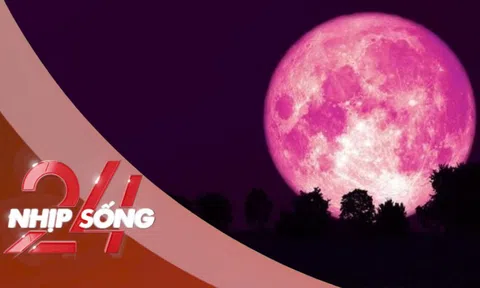 NHỊP SỐNG 24: 'Trăng dâu tây' tháng 6 sẽ xuất hiện ở vị trí rất kỳ lạ?
