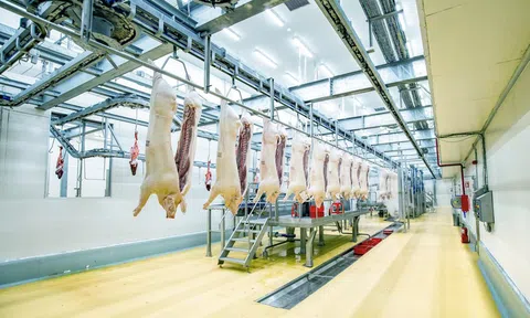 Có phải thịt ở ngăn mát gọi là thịt mát?