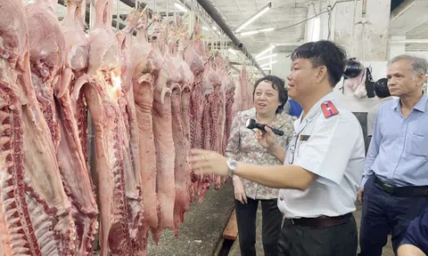 Thanh kiểm tra cơ sở giết mổ động vật trên cả nước