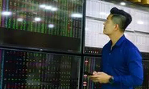 'Cá mập' đang bỏ lỡ cơ hội kiếm tiền từ thị trường chứng khoán?