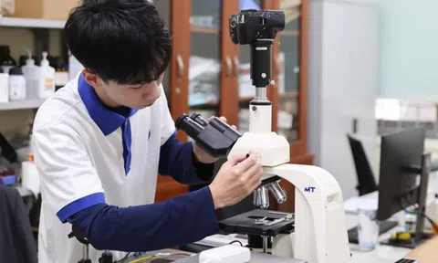 Góc khuất học sinh nghiên cứu khoa học: Trả lại giá trị thật cho cuộc thi