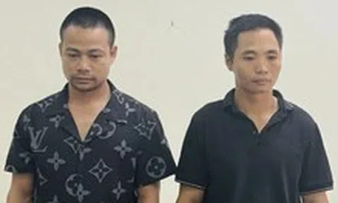 Một cán bộ hải quan bị bắt vì khai thác gỗ rừng trái phép