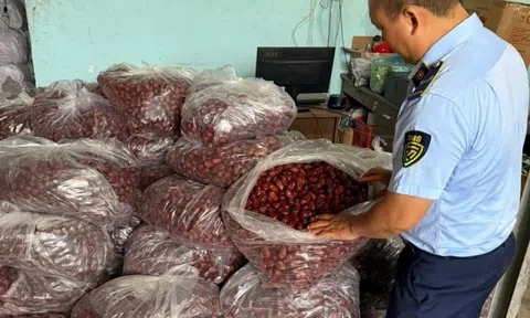 TPHCM: Phát hiện hàng tấn thực phẩm '3 không' chờ tiêu thụ