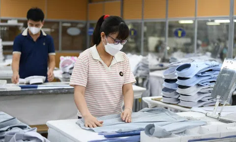 Chiến lược đưa kinh tế hộ gia đình thành doanh nghiệp