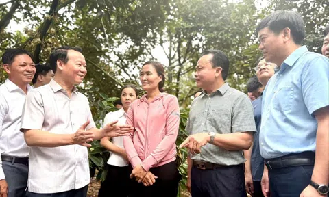Đại phẫu 'vua' trái cây tỷ USD: Chờ sự hóa giải của tư lệnh ngành Nông nghiệp