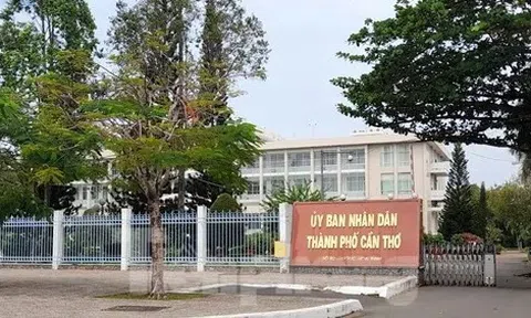 Cơ quan cấp thành phố ở Cần Thơ phải cử 5% cán bộ đi cơ sở