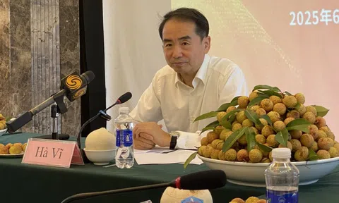‘Cùng thưởng thức vải đỏ - Cùng chia sẻ tình đồng chí’