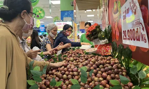 Bất ngờ với giá mận hậu vào mùa ở TPHCM