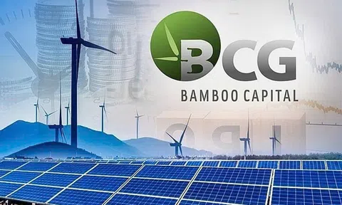 Bamboo Capital bổ nhiệm nhân sự 30 tuổi phụ trách quản trị