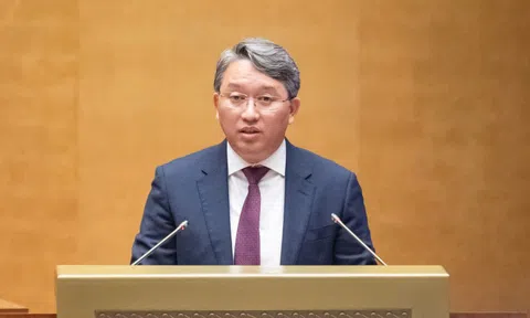 'Tăng mức phạt tiền tối đa là vấn đề lớn, sẽ đánh giá tác động đầy đủ'