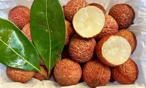 Vải thiều Trung Quốc 'đổ bộ' chợ Việt, giá cao không tưởng
