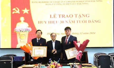 Đảng bộ công ty điện lực Đắk Nông: Khẳng định vai trò lãnh đạo, gặt hái thành công