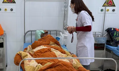 Hàng chục trường hợp ngộ độc nấm rừng tại Lâm Đồng