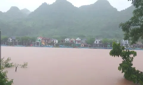 Mưa lũ tại miền Trung diễn biến phức tạp: Cá nuôi chết hàng loạt, lúa và hoa màu bị ngập