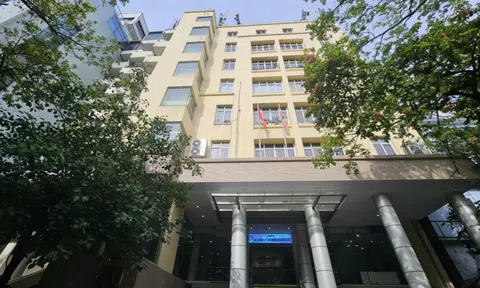Cục trưởng bị bắt, ai điều hành Cục Quản lý lao động ngoài nước?