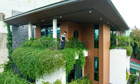 Cách đưa những 'khu vườn' len lỏi khắp nhà phố 3 tầng