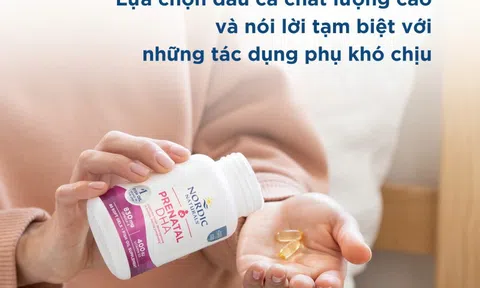 Nordic Naturals – DHA từ Hoa Kỳ tinh khiết cho mẹ bầu Việt