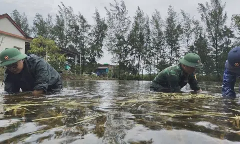 Bộ đội giúp người dân vùng biên khắc phục hậu quả mưa lũ
