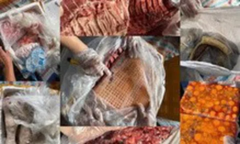 Bắt xe đông lạnh chở hơn 20 tấn nội tạng động vật bị nấm mốc, bốc mùi hôi