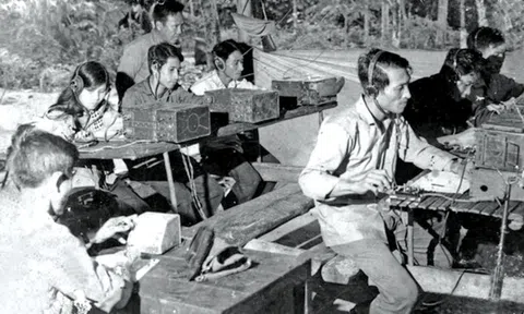 Làm báo trong rừng