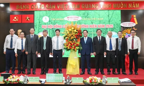 Tập đoàn Công nghiệp Cao su Việt Nam chia cổ tức 1.600 tỷ đồng