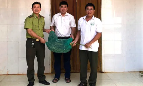 Trăn gấm quý hiếm bò vào nhà dân bắt gà trong đêm