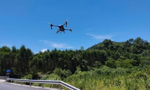 Quảng Bình dùng máy bay không người lái đối phó với nạn châu chấu hoành hành