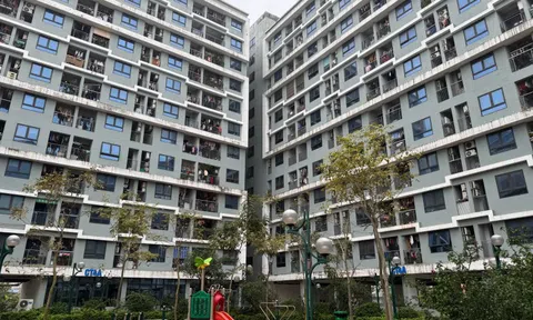Doanh nghiệp Nhà nước nên hướng vào làm nhà ở giá rẻ