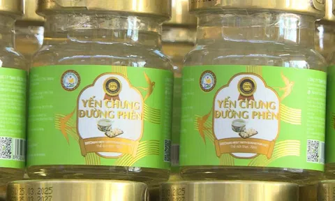 Chuyển cơ quan công an điều tra 23.000 sản phẩm yến chưng