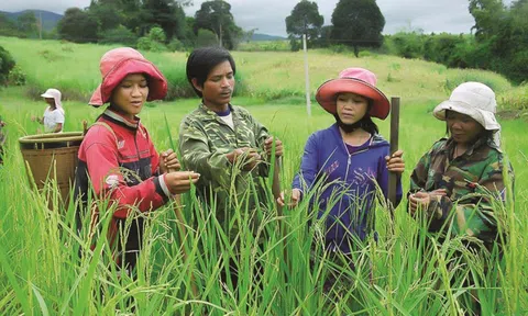 Hợp nhất chương trình nông thôn mới và giảm nghèo bền vững