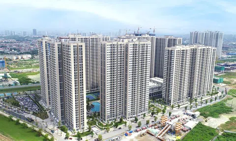 Chung cư quay đầu tăng giá, đất nền chững lại sau tăng 'nóng'