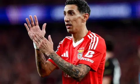 Nhận định Benfica vs Auckland City, 23h00 ngày 20/6: 'Đại bàng đỏ' tung cánh bay