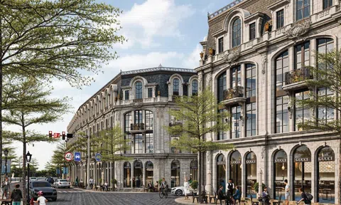 Nhà đầu tư kỳ cựu bất ngờ trước 8 giá trị chỉ có tại Noble Place Tay Thang Long