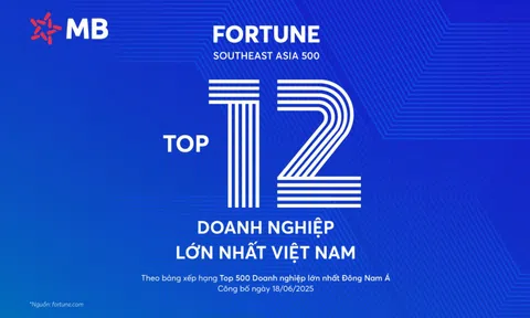 MB lọt Top 100 doanh nghiệp lớn nhất Đông Nam Á, thăng 5 bậc trên bảng xếp hạng Fortune SEA 500