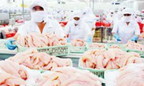 Cá tra Việt Nam nhận tin vui lớn từ Mỹ