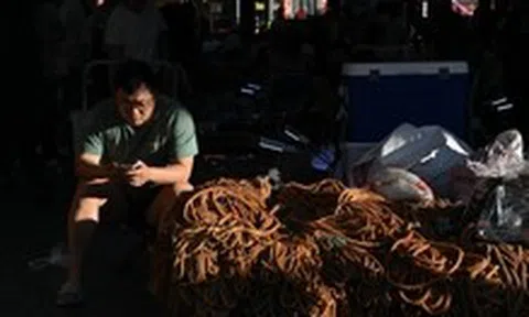 Gặp khó với Mỹ, doanh nghiệp Trung Quốc xoay sang châu Âu và Đông Nam Á