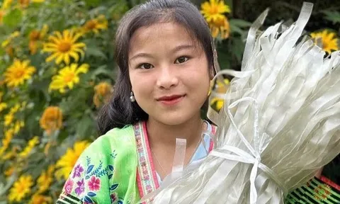 TikToker Việt lao đao
