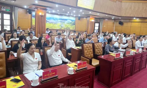 Cho thôi làm Đại biểu HĐND tỉnh Lạng Sơn do vi phạm sử dụng chứng chỉ giả