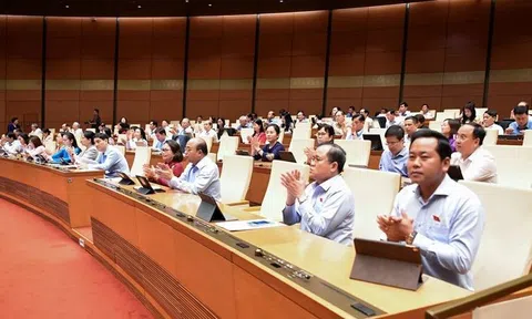 Chính phủ thống nhất chỉ đạo lực lượng Việt Nam tham gia gìn giữ hòa bình Liên Hợp Quốc
