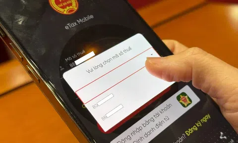 Sắp hết cảnh một người tự dưng có 2 mã số thuế