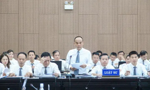 Luật sư đề nghị gỡ phong tỏa 196 bất động sản cho Chủ tịch Tập đoàn Phúc Sơn khắc phục hậu quả