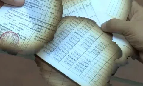 Luật sư nói về vụ đốt tài liệu cạnh trụ sở UBND phường ở Hà Nội