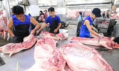 Vì sao thịt heo bẩn vẫn lọt ra thị trường?