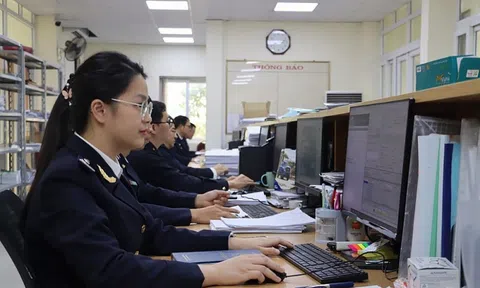 Tạm dừng làm thủ tục hải quan từ 22h ngày mai